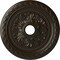 Ekena Millwork Palmetto Ceiling Medallion (Canopies up to 3 5/8"), 23 5/8"OD x 3 5/8"ID x 1 5/8"P, Stone Hearth CM23PMSHF - alternate 1